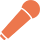 Wireless Microphone
